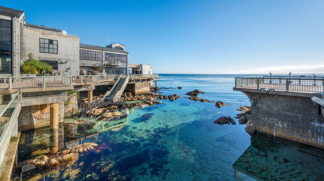 IoEnergy CEO Danny Krueger Talks Building Energy Efficiency - Monterey Bay Aquarium 1100w